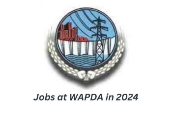 Job at WAPDA